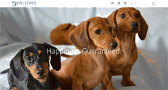 Desktop Screenshot of hielscherdachshunds.com