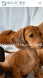 Mobile Screenshot of hielscherdachshunds.com